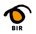 BIR Infrastruktur - logo